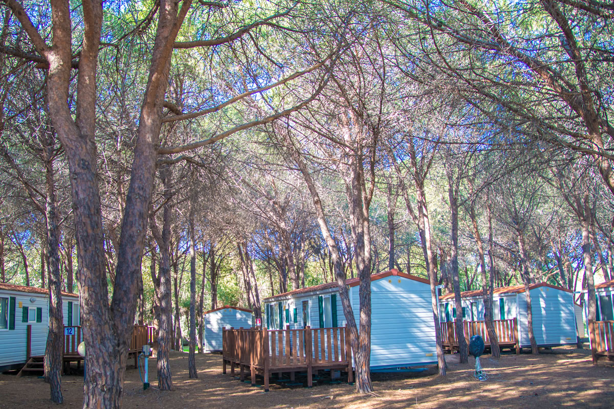 camping-iscrixedda-lotzorai-sardegna-mobile-home15