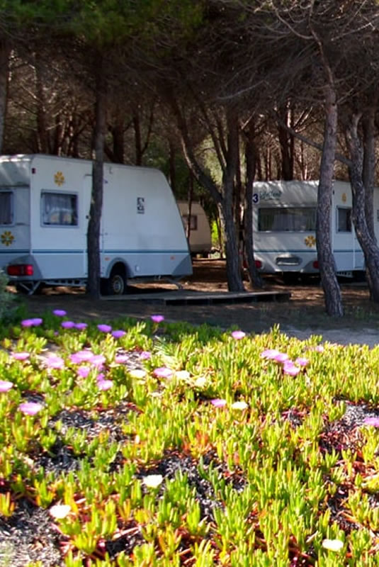 camping-iscrixedda-lotzorai-sardegna-roulotte2